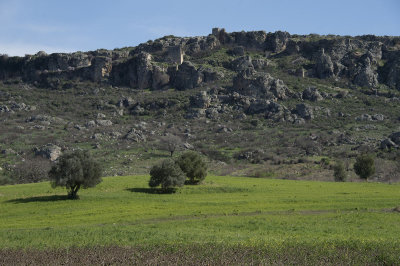 Sillyon feb 2015 5480.jpg