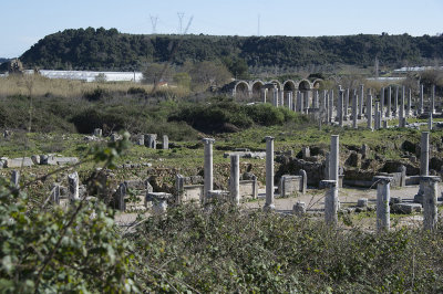 Perge feb 2015 5299.jpg