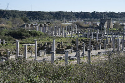 Perge feb 2015 5300.jpg