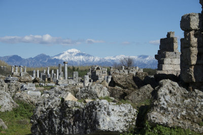 Perge feb 2015 5192.jpg