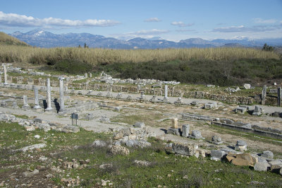Perge feb 2015 5294.jpg