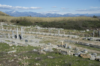 Perge feb 2015 5294.jpg