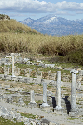 Perge feb 2015 5298.jpg