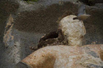 Canakci rock tombs march 2015 6813.jpg