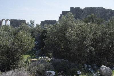 Korykos to Ayas March 2015 7029.jpg