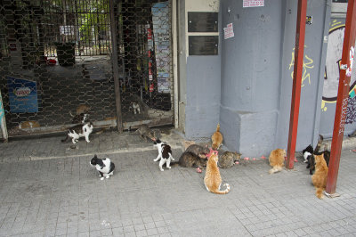 Istanbul near and on Istiklal Caddesi 2015 0300.jpg