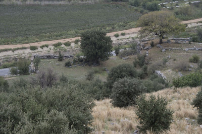 Priene October 2015 3173.jpg