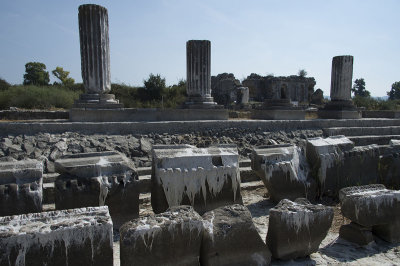 Miletus October 2015 3359.jpg