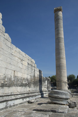 Didyma Apollo Temple October 2015 3299.jpg