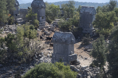 Cyaneae Necropolis from theatre October 2016 0159.jpg