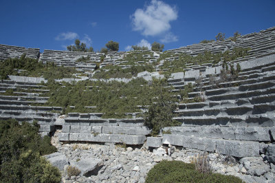 Cyaneae Theatre October 2016 0145.jpg