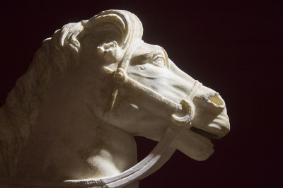 Antalya Museum Horse statue October 2016 9690.jpg
