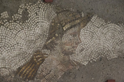 Istanbul Mosaic Museum dec 2016 1648.jpg