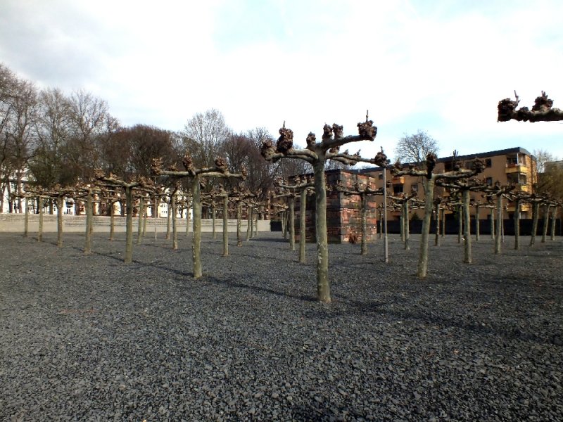 The structure in the center of the trees was made from the foundations of houses destroyed in the Jewish ghetto of Frankfurt