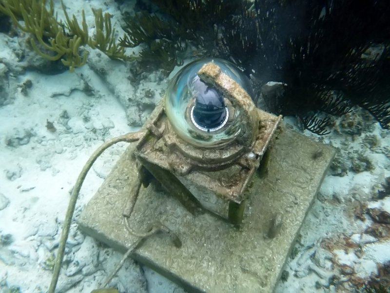 Webcam at reefs visited with Ocean Frontiers
