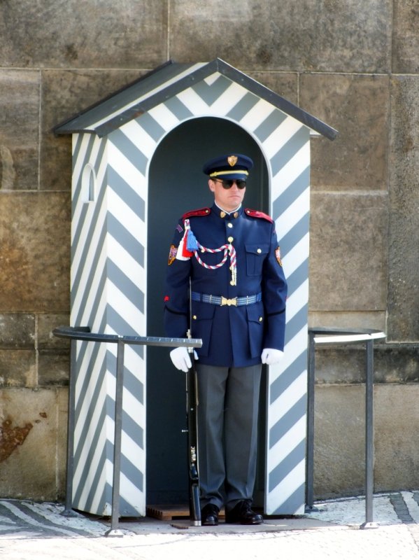 The Guard (actually there are two of them)