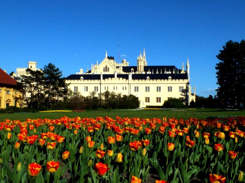 <a href=http://www.zamek-lednice.info/en/lednice-castle.php>Lednice Castle</a>