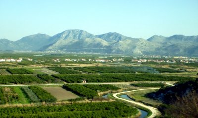 Agricultural Fields