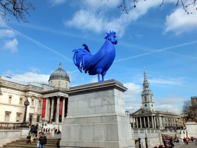 The Big Blue Rooster