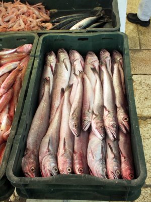 An open air fish market