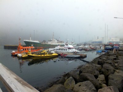 The port of Heimaey Island