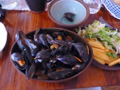 Lots of mussels