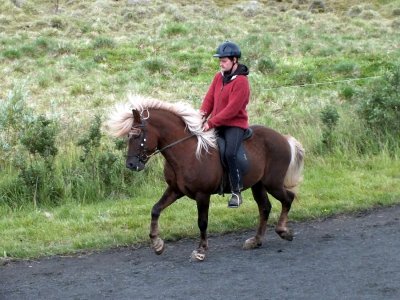 An Icelandic Horse Show