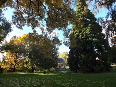 A local park