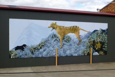 A mural depicting a Tasmanian Devil and a Tasmanian Tiger, a creature rarely seen