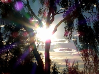 Sun setting viewing from a hill overlooking Alice Springs