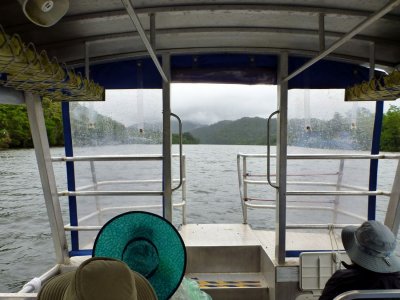 A river cruise on the Daintree River, and lo and behold, it rained in the rainforest