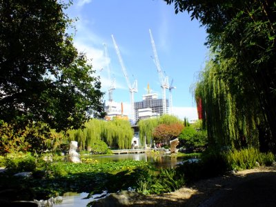 The peace and tranquility of the Garden is sometimes overwhelmed by maybe the too fast growth of the city