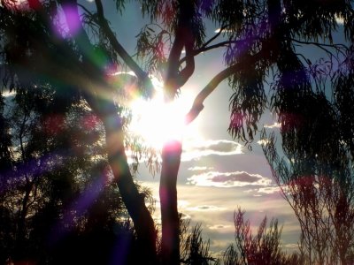 Lens flare at a sunset in Adelaide
