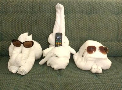 Towel animals