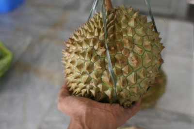 Unidentified Durian