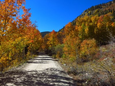 taylor_park_colorado_2016_atv_trip