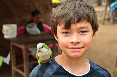 20130611_0395 parrot bolivia.jpg