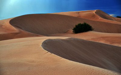 20130611_0461 landscape bolivia.jpg