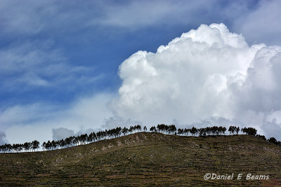 20150114_7610 landscape bolivia trees.jpg