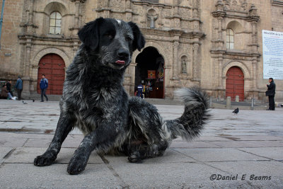 20150114_7476 la paz bolivia street.jpg