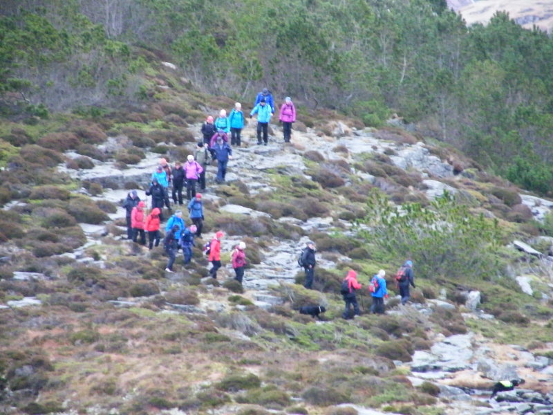 Fjell Turlag 2014-02-04 12.35.14.jpg