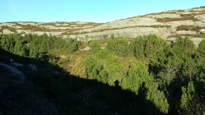 Steinalderdalen - med Byfjellsbenken verst