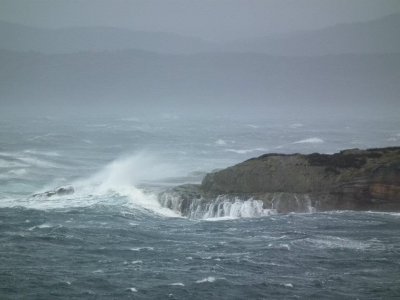 Stormy day  - Rongesundet