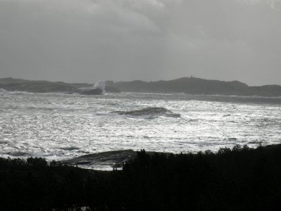 Stormy day  - Fiskar Odden - Rongesundet