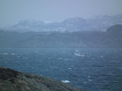 Stormy day  - Hjeltefjorden