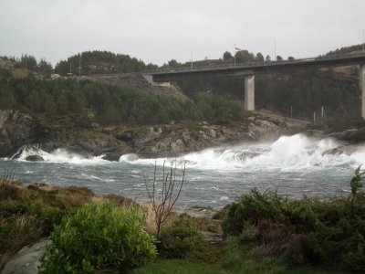 Stormy day  - Rongesundet