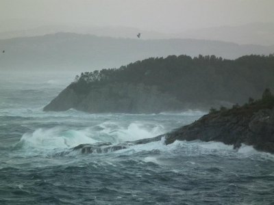 Stormy day  - Rongesundet