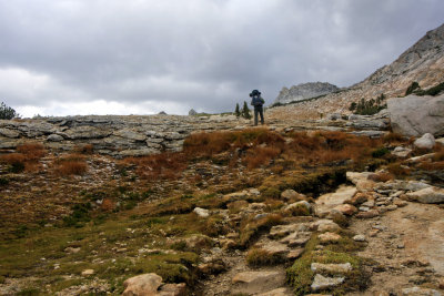 Yosemite NP 2014 6