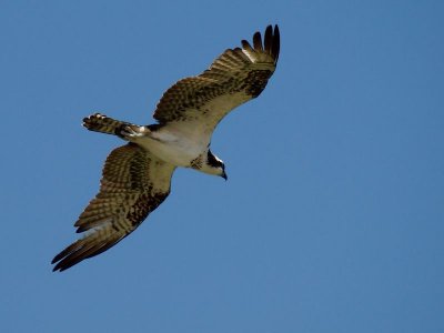 GRP 2012_05_28 121.jpg