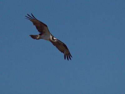 GRP 2012_05_29 -101.jpg